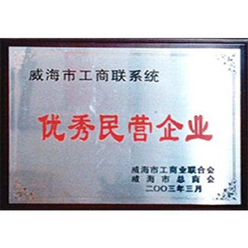 优秀民营企业